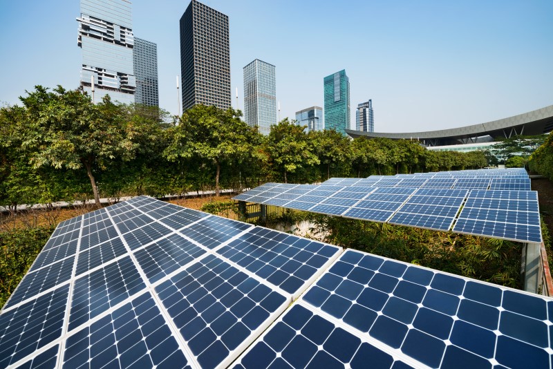 Sustentabilidade Empresarial - Prone Contabilidade