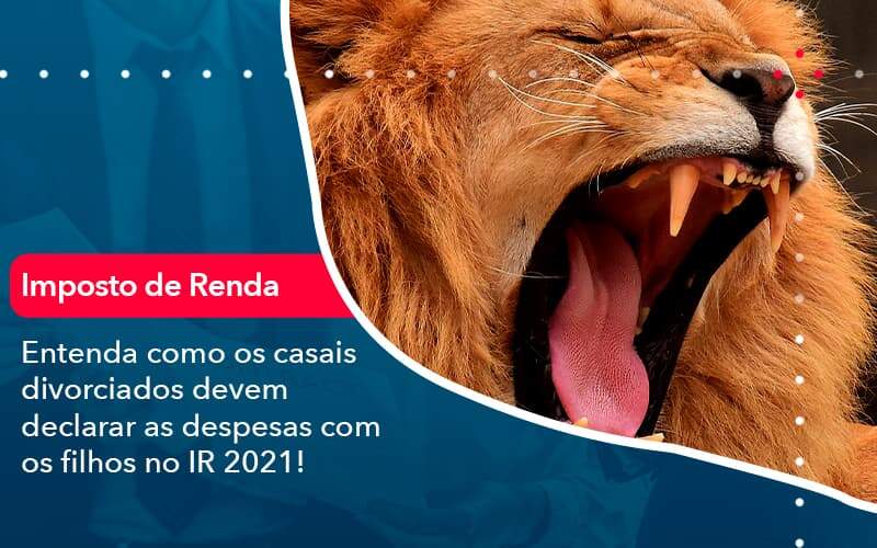 Politica de privacidade - Roar Engenharia